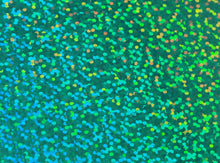 Load image into Gallery viewer, Holographic Heat Transfer Film
