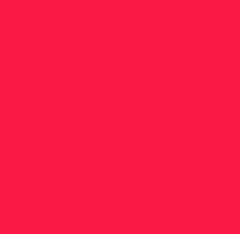 Load image into Gallery viewer, NEON Heat Transfer Film
