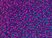 Load image into Gallery viewer, Holographic Heat Transfer Film
